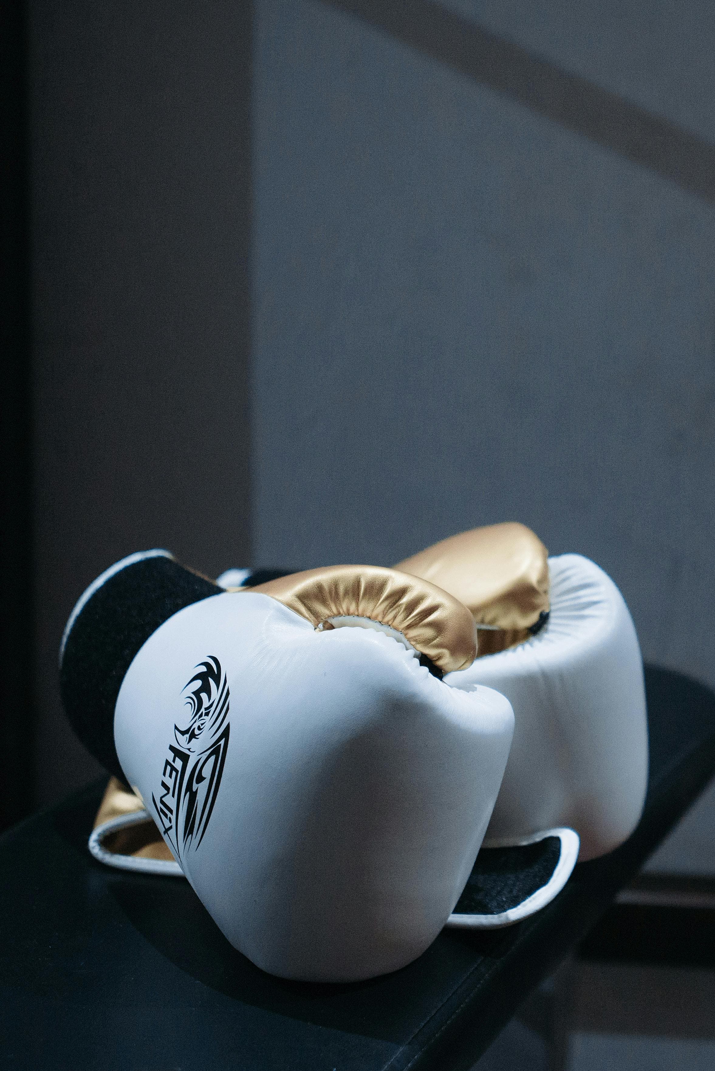 Everlast boxing gloves